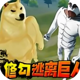 修勾三角行动